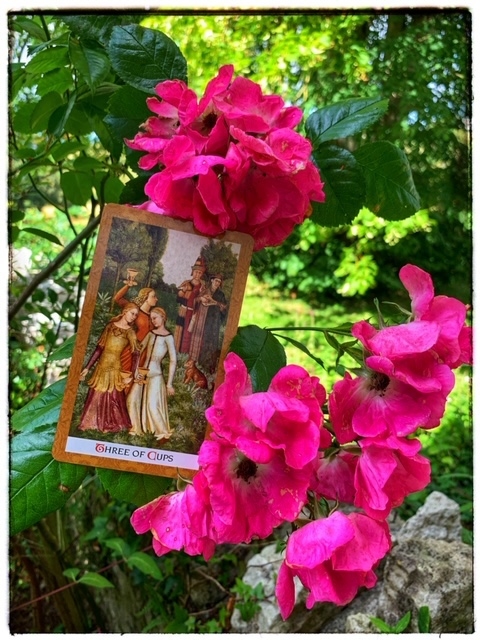 image-2