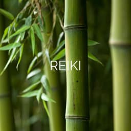 Half Hour Reiki Session