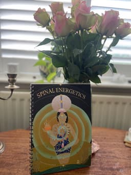 Consultation -Spinal Energetics