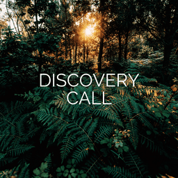 Discovery Call