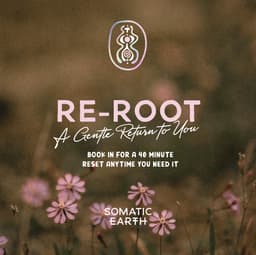Re-Root: Grounding Session