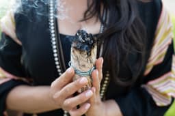 In-Person Plant Medicine Journey