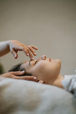 The Nervous System Reset 