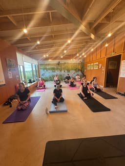 Monday Yoga - Sanders Draper School